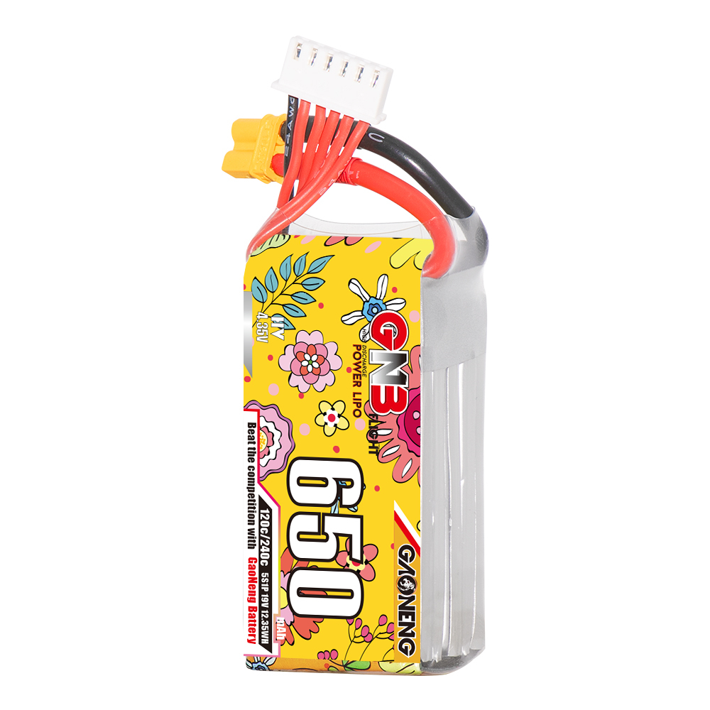 GAONENG GNB LiHV 5S 19V 650mAh 120C XT30 HV LiPo Battery