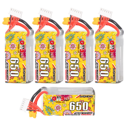GAONENG GNB LiHV 5S 19V 650mAh 120C XT30 HV LiPo Battery