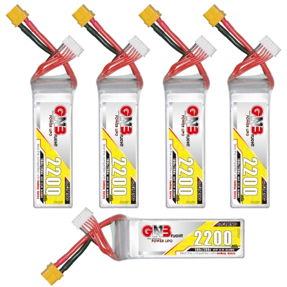 GAONENG GNB 6S 22.2V 2200mAh 100C XT60 LiPo Battery