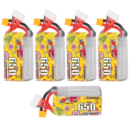 GAONENG GNB LiHV 6S 22.8V 650mAh 120C XT30 LiPo Battery