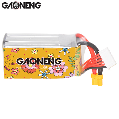 GAONENG GNB LiHV 5S 19V 650mAh 120C XT30 HV LiPo Battery