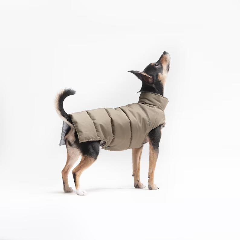 Warm Vest For Dog - Warm Clothing For Dog - Warm Dog Clothes - Dog Clothing - Pet Clothing - Warm Jacket For Dog - Gift
