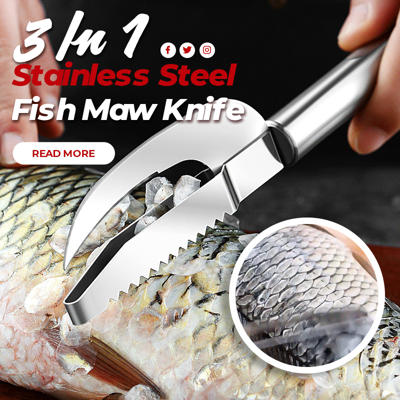 Stainless Steel 3 In 1 Fish Maw Knife