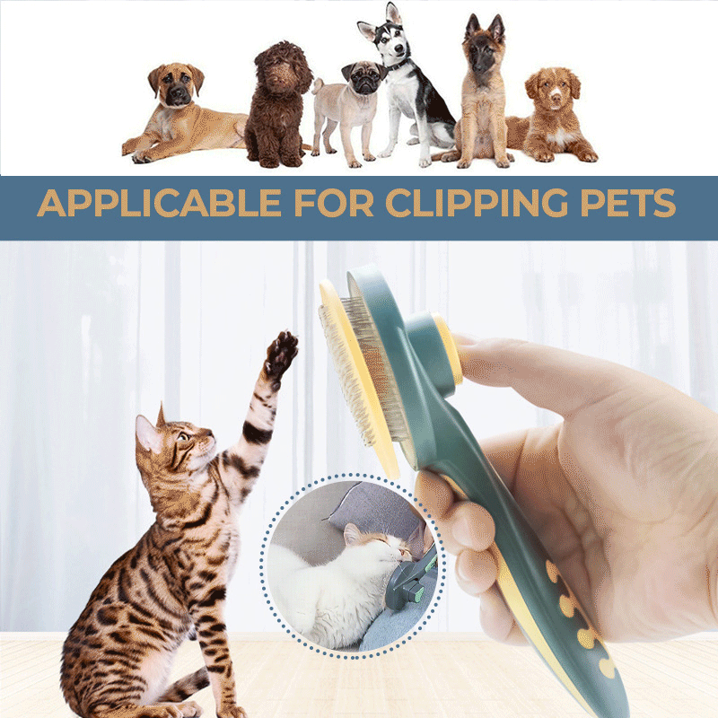 🔥Hot Sale🔥Self-Cleaning Pet Hair Removal Brush