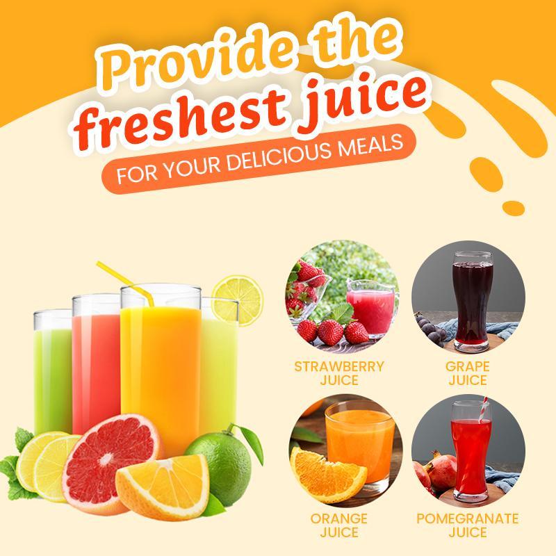 Transparent Manual Juicer