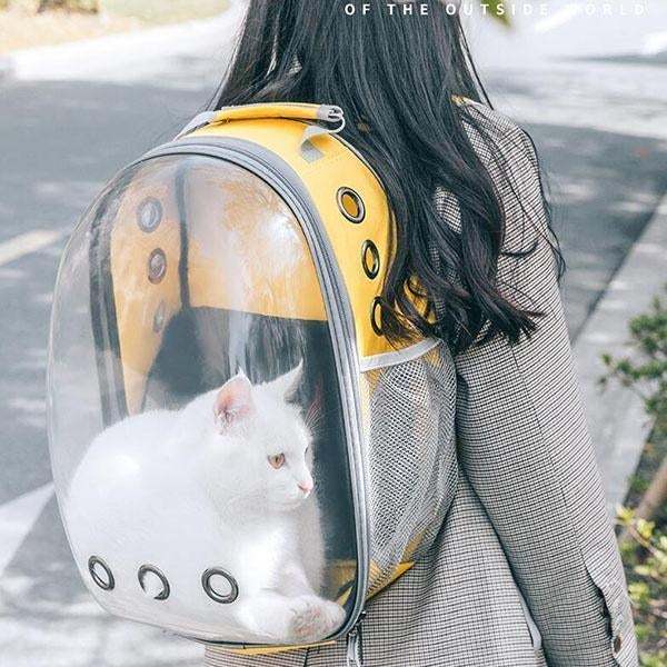Space Aat Pet Bag