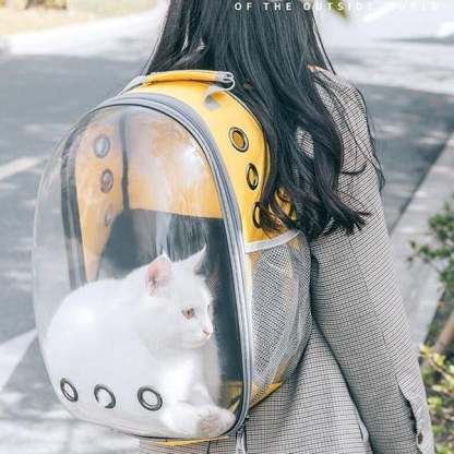 Space Aat Pet Bag