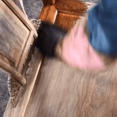 Wood Polish Spray | Restore & Protect Furniture Shine | Storeone.com.pk