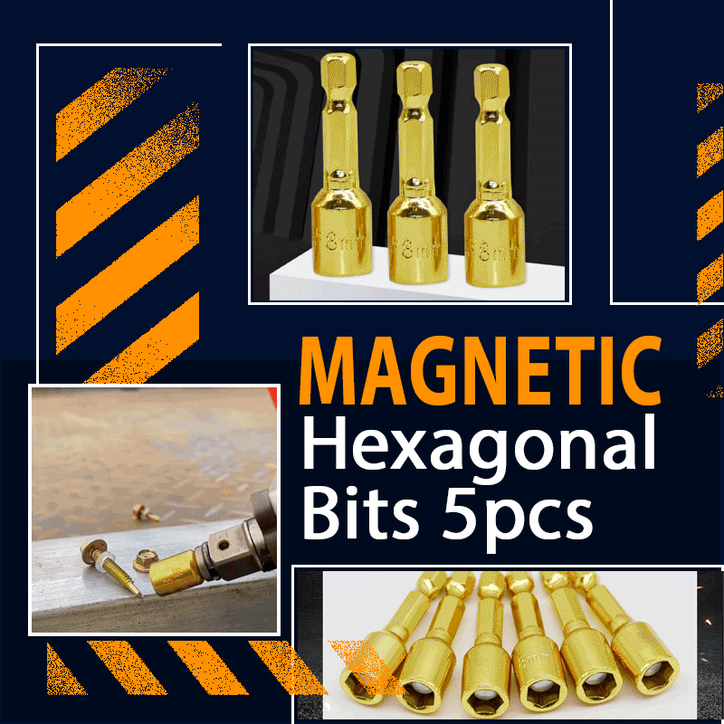 Magnetic Hexagonal Bits