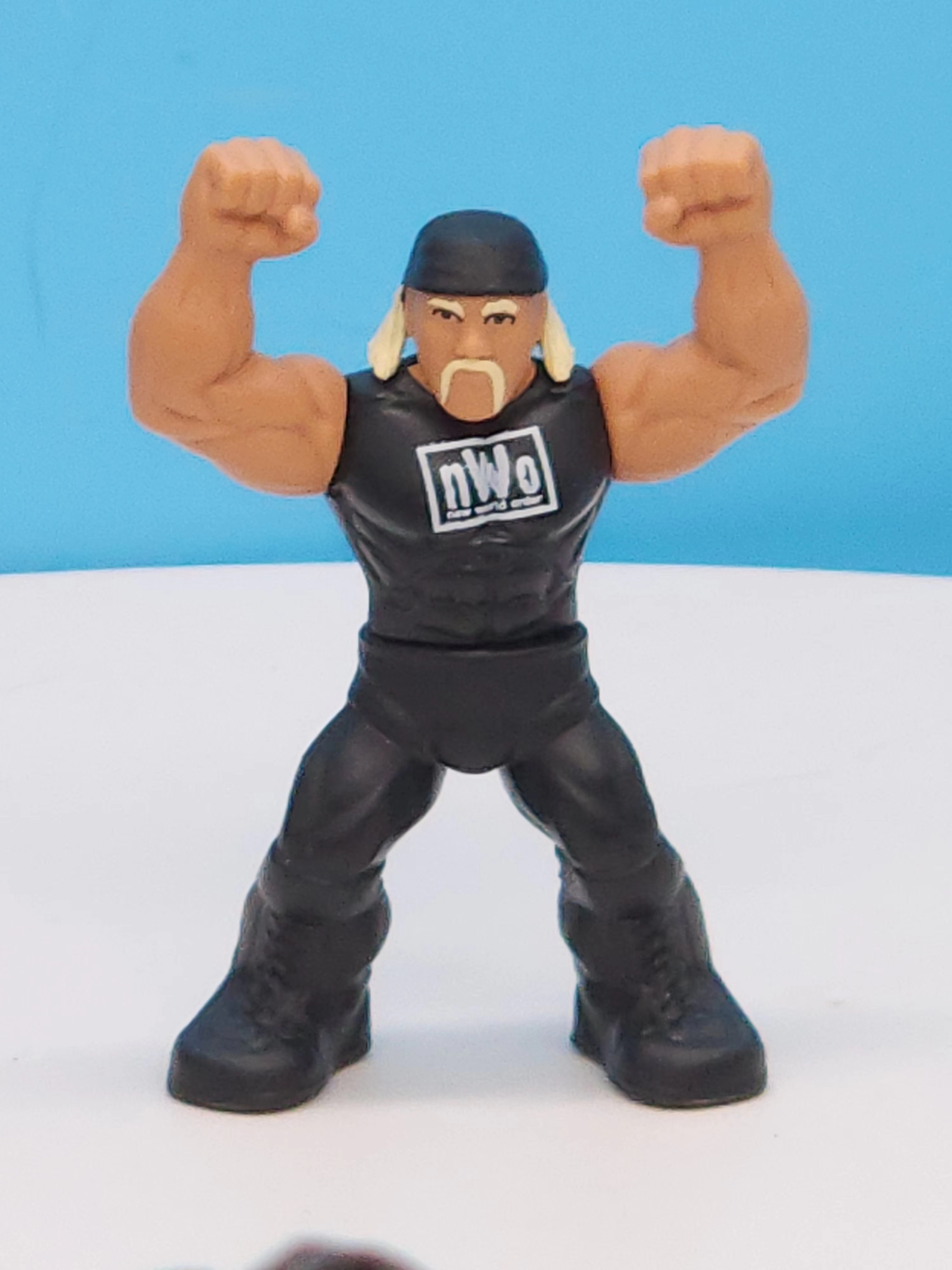 WWE Mattel Unreleased Mighty Minis Hulk Hogan