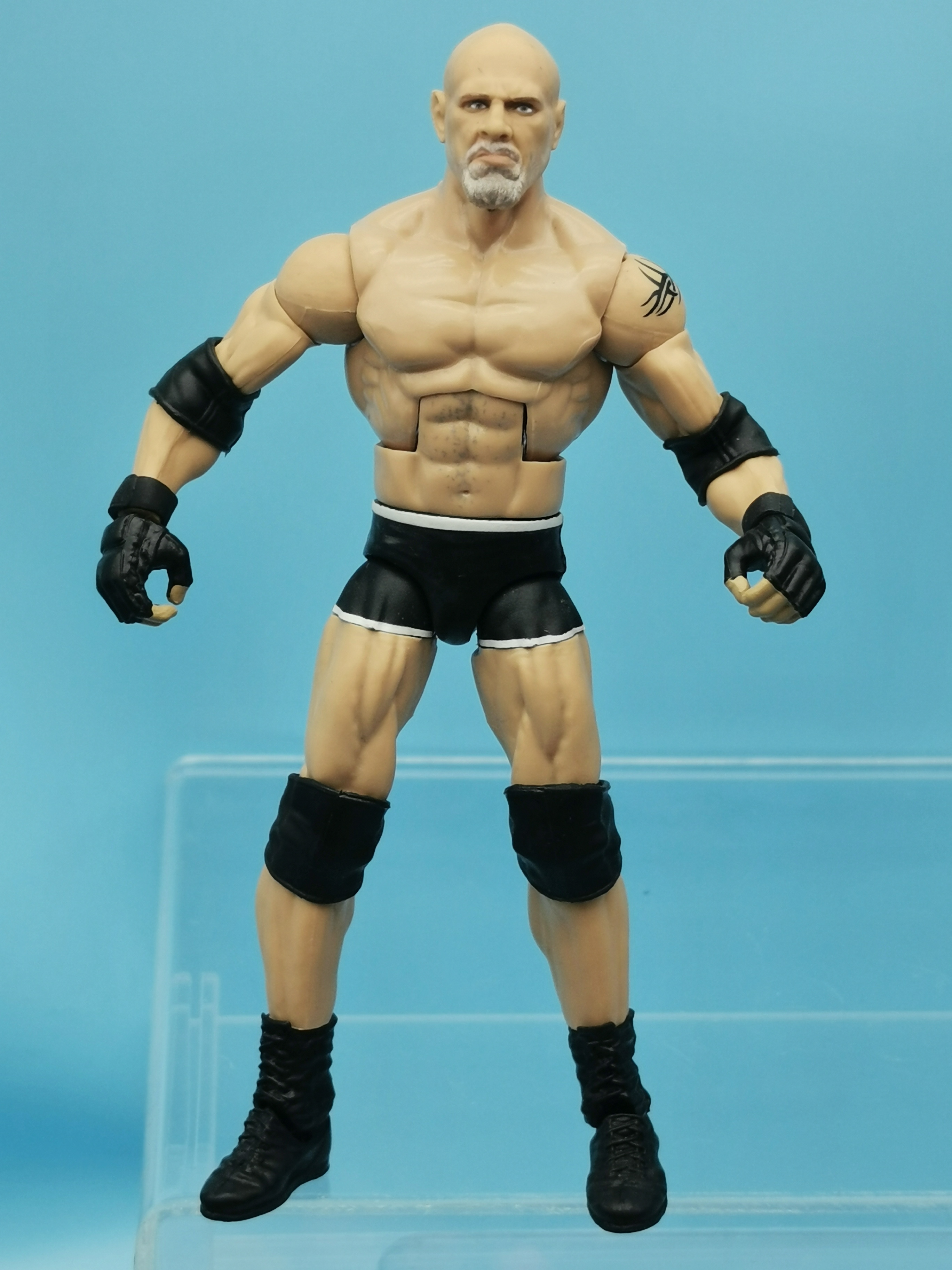 WWE Mattel Elite Goldberg