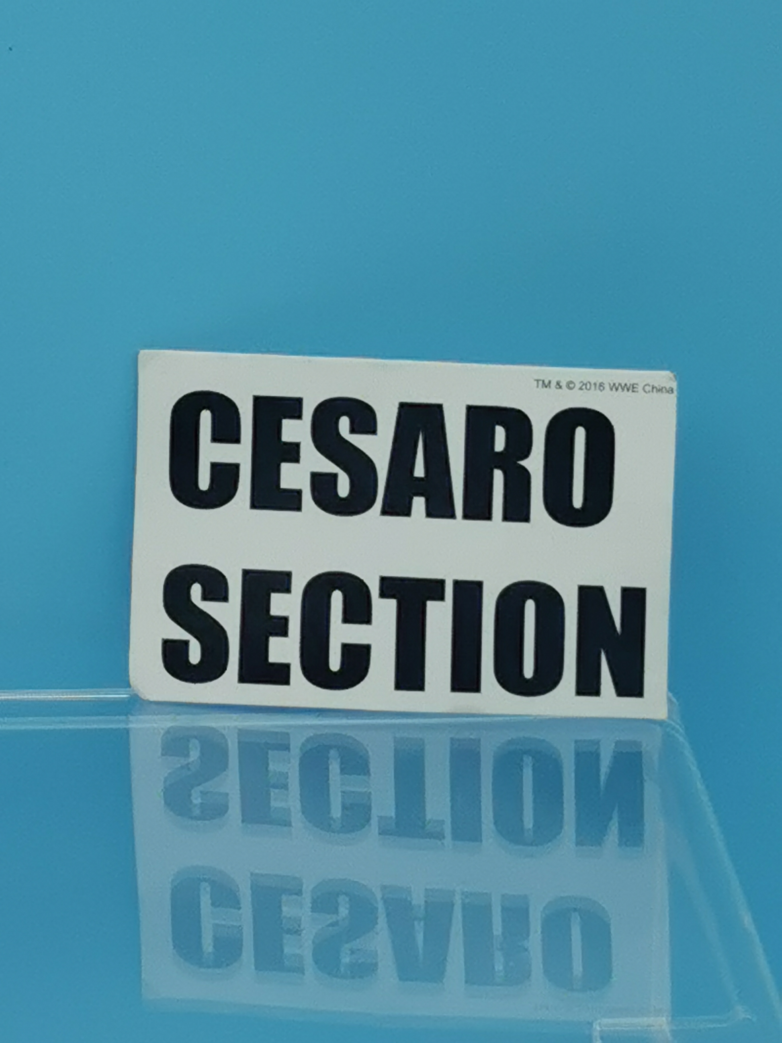 WWE Mattel Accessories Cesaro Section Sign