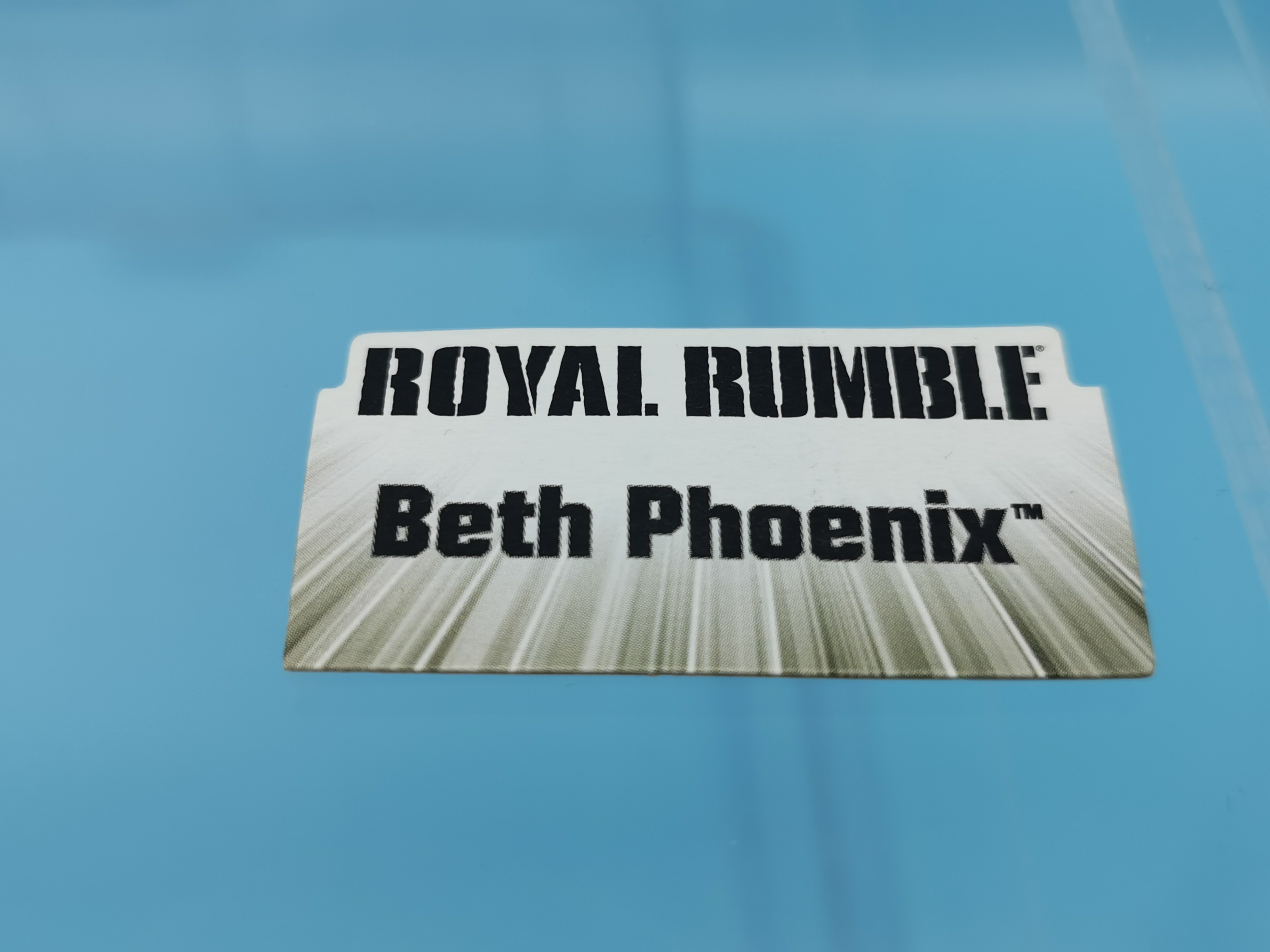 WWE Mattel Accessories Beth Phoenix Name Tag