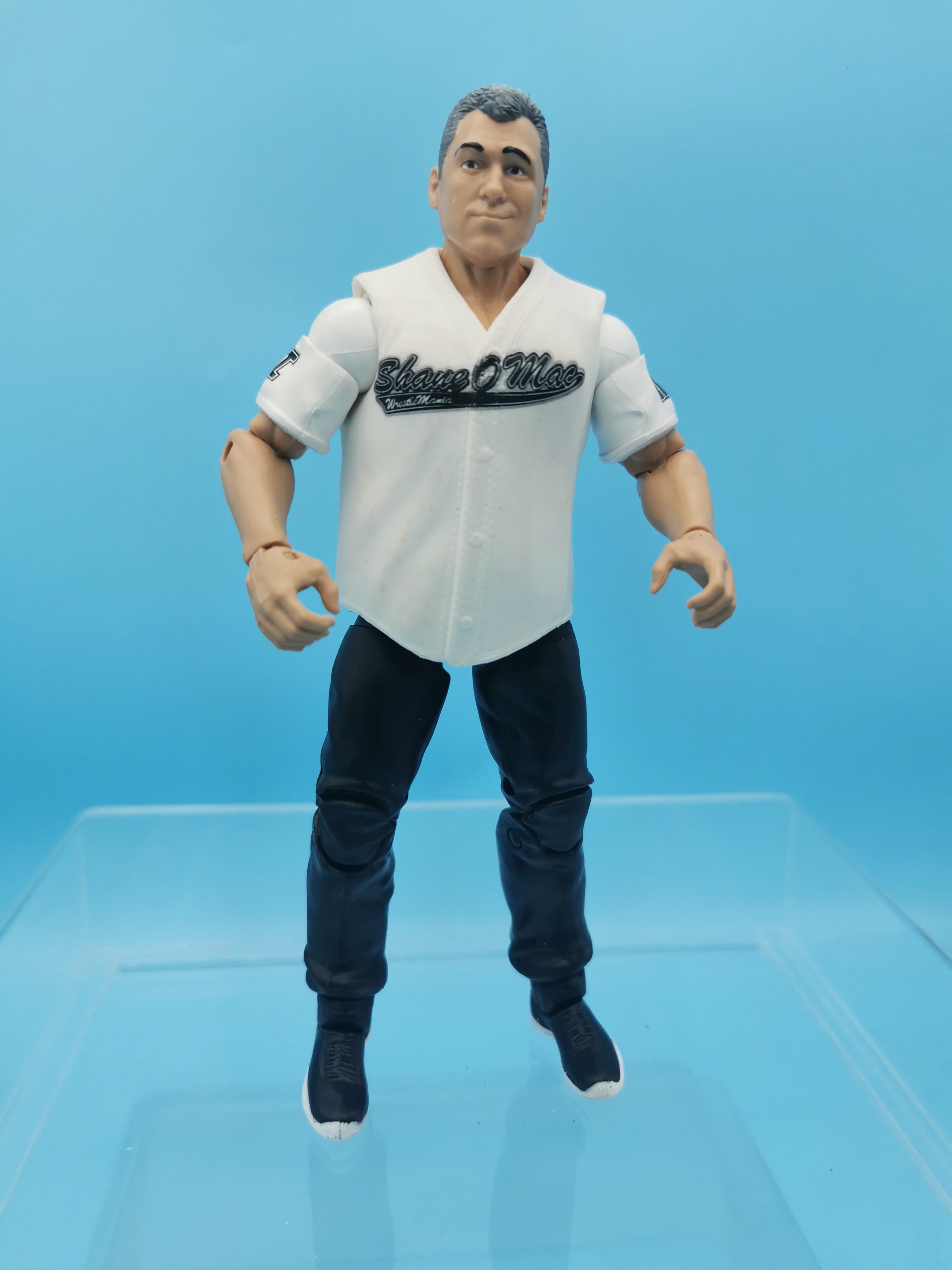 WWE Mattel Elite Shane McMahon