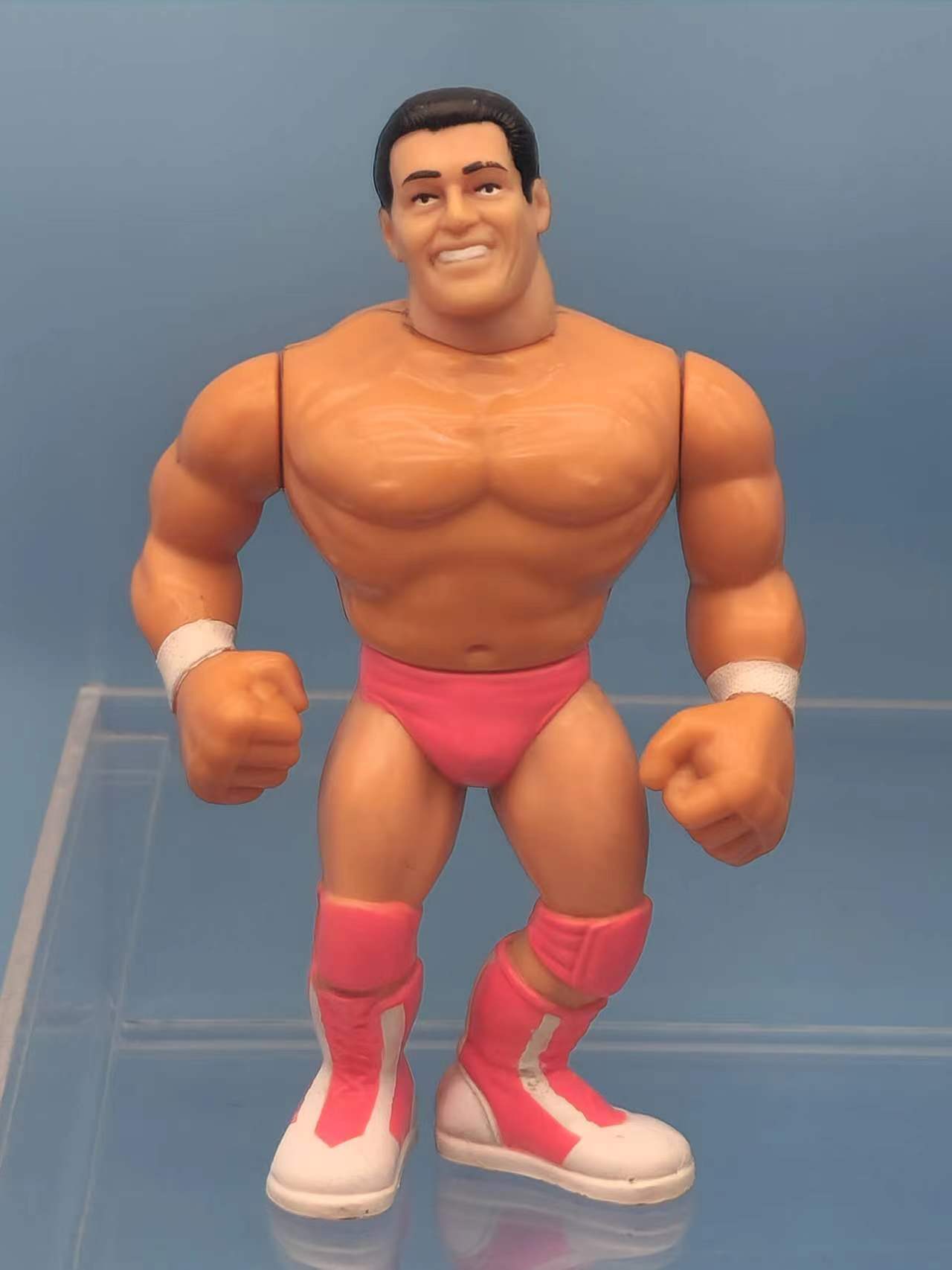 WWF Hasbro Rick the Model Martel (Damaged)