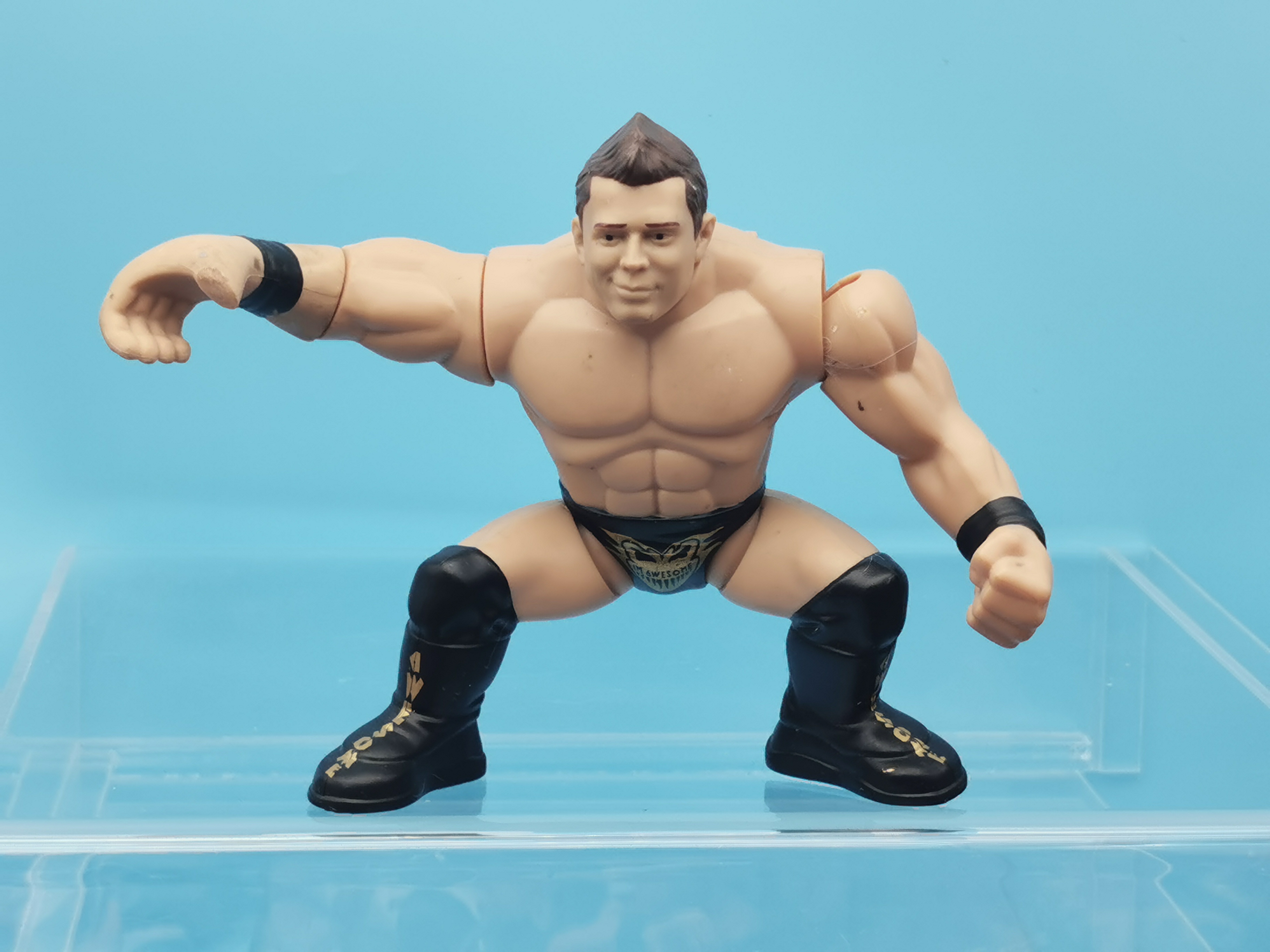 WWE MattePower Slammer The Miz