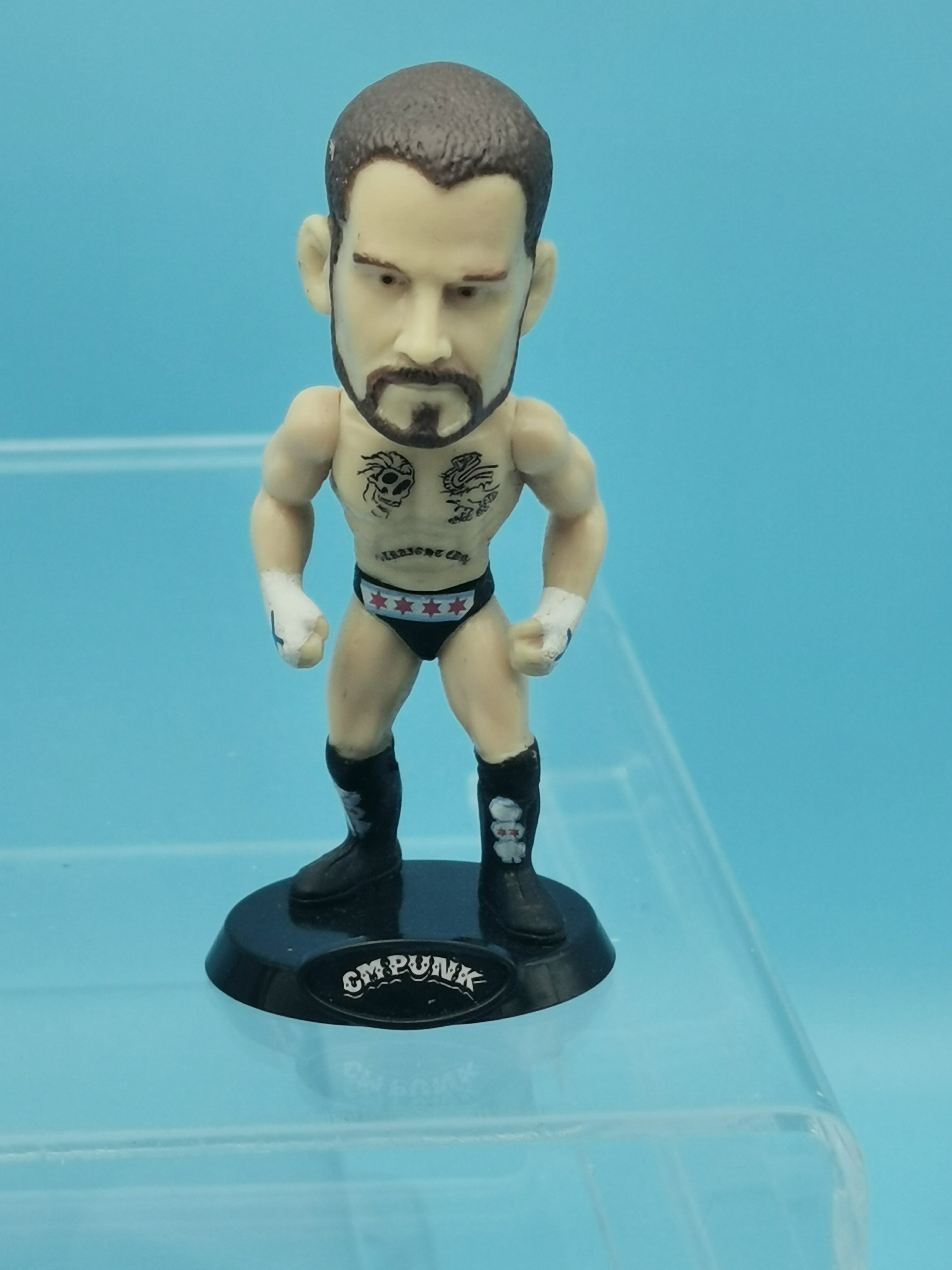 WWE Wicked Cool Toys CM Punk