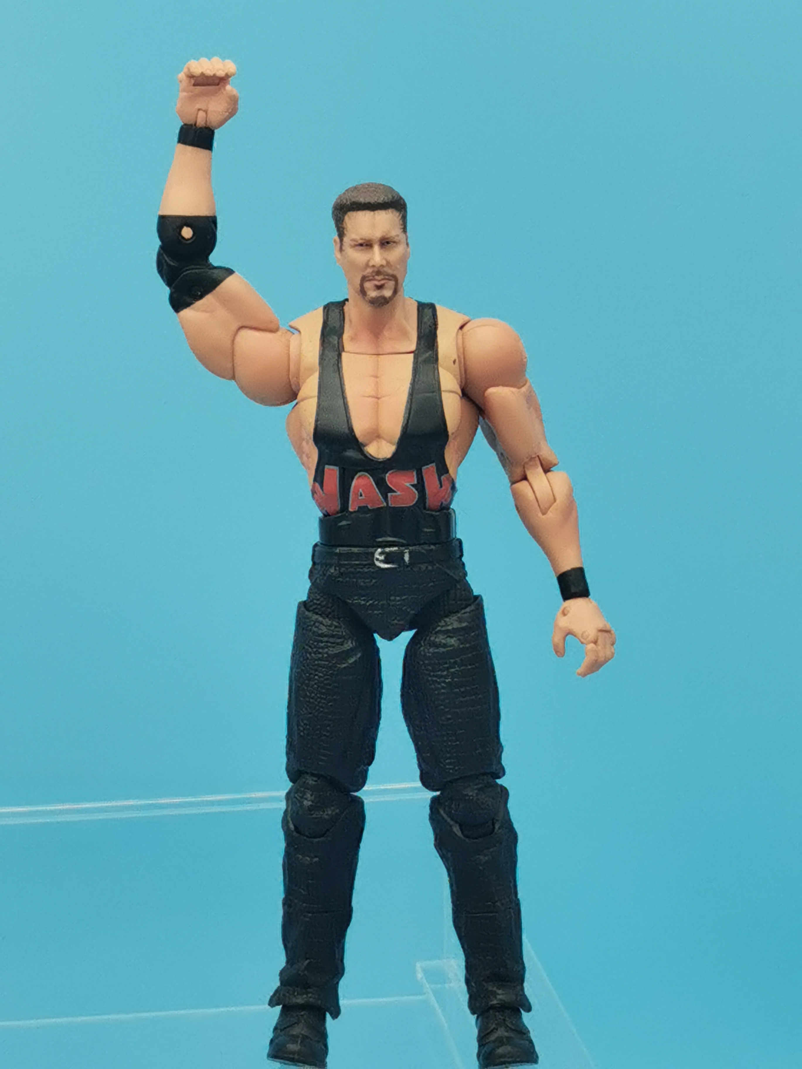 TNA Toybiz Kevin Nash Diesel