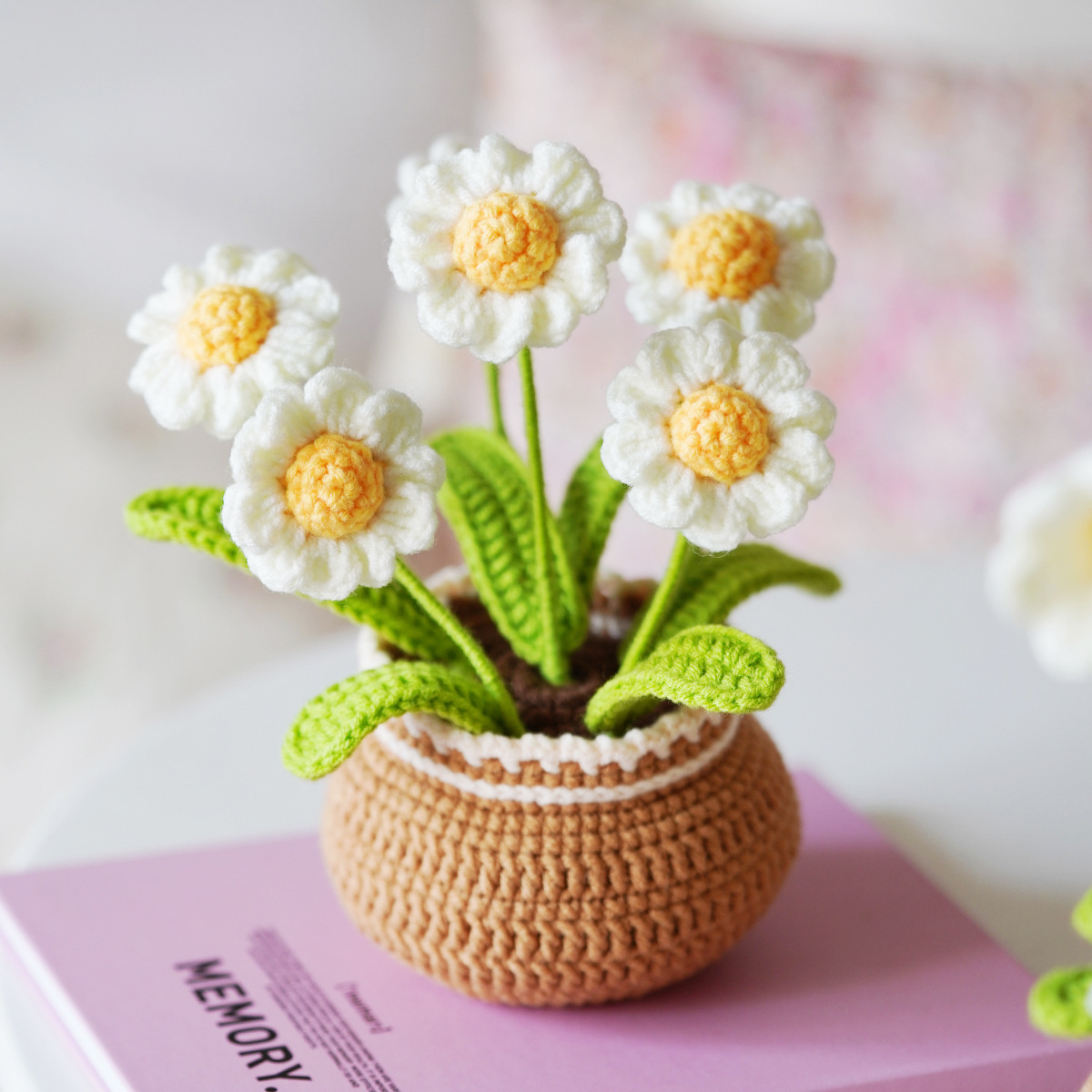 Crochet Kit For Beginners - Daisy