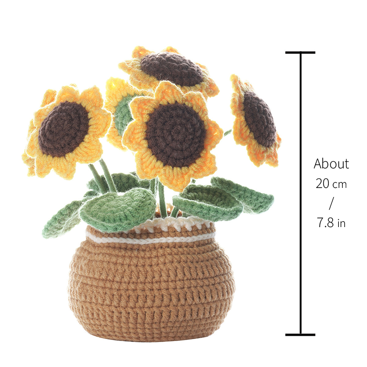  LA QUEENIE Crochet Kit for Beginners,6 Pcs Potted Flowers  Crochet Kit for Adults,DIY Crochet Starter Kit for Complete Beginners with  Step-by-Step Instructions Video Tutorials (Yellow)