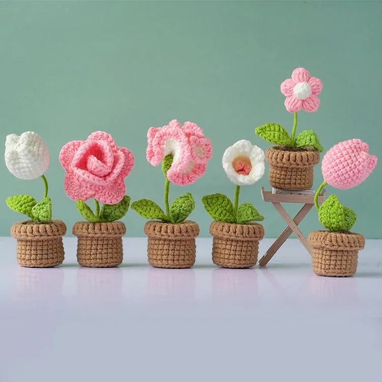 Flowers and Potted Plants 6Pcs Crochet Kit