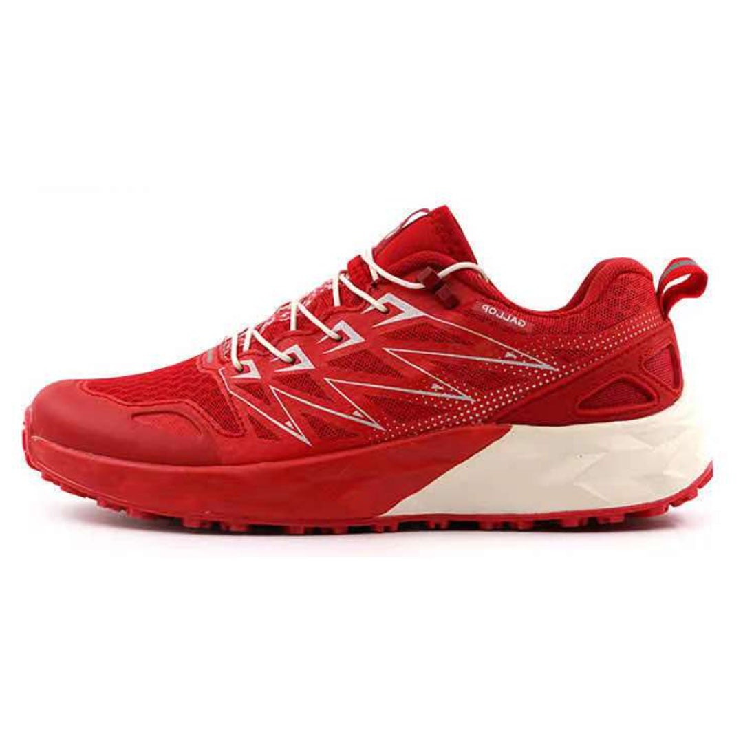 Men's Trailedge Running Shoes - wide