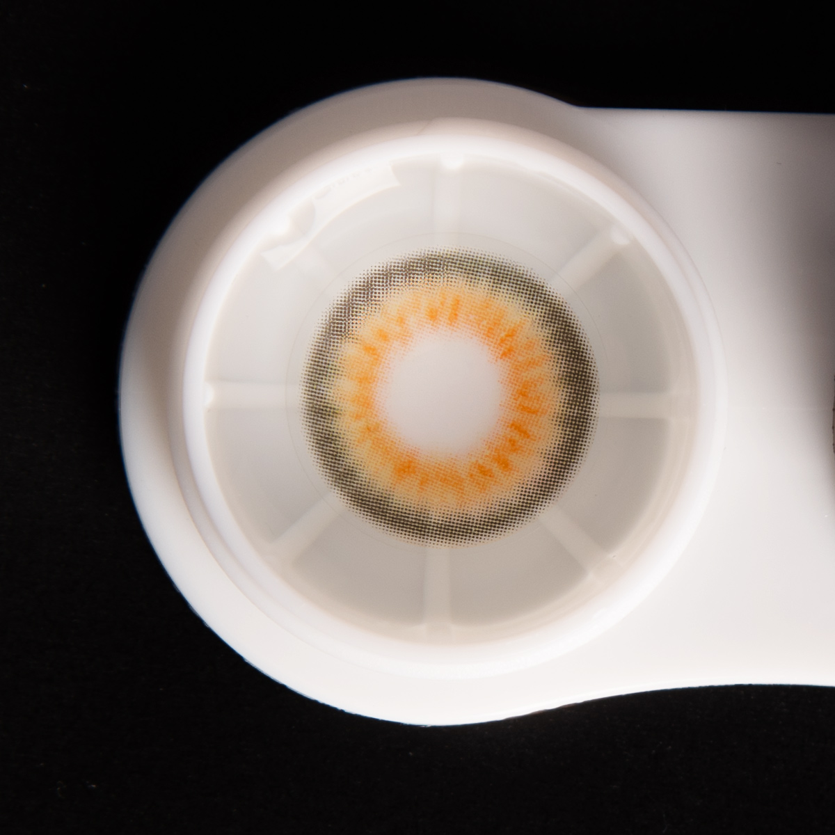 Vanilla Brown 6 Months Contact Lenses