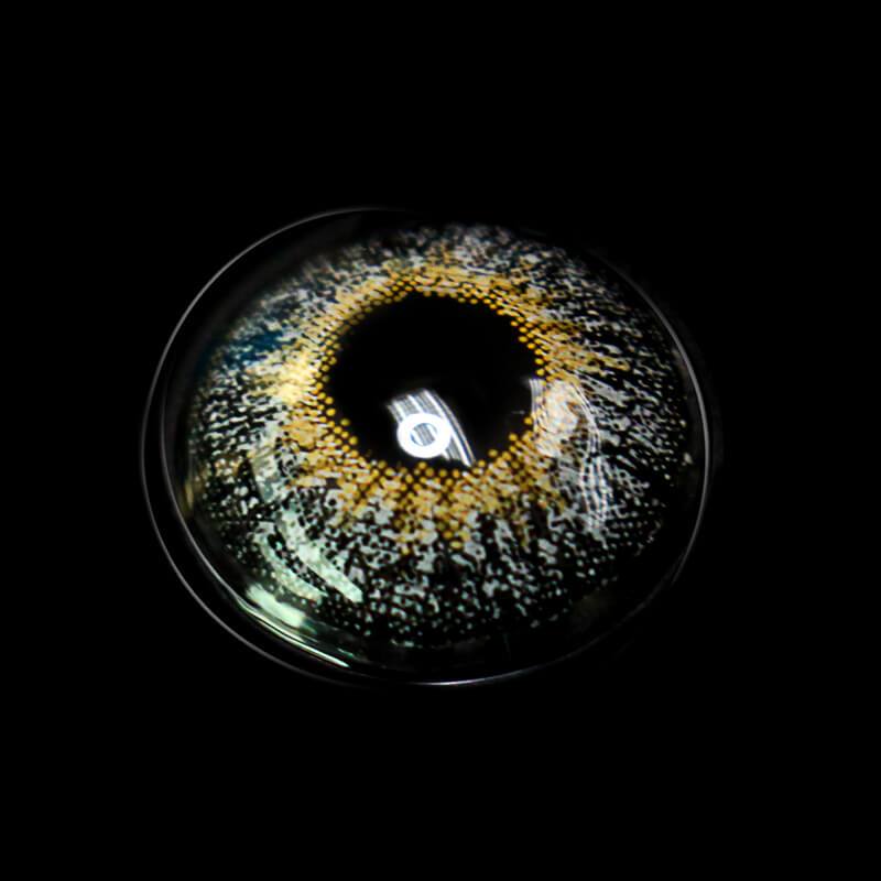 [US Warehouse] Forest Swan Contact Lenses