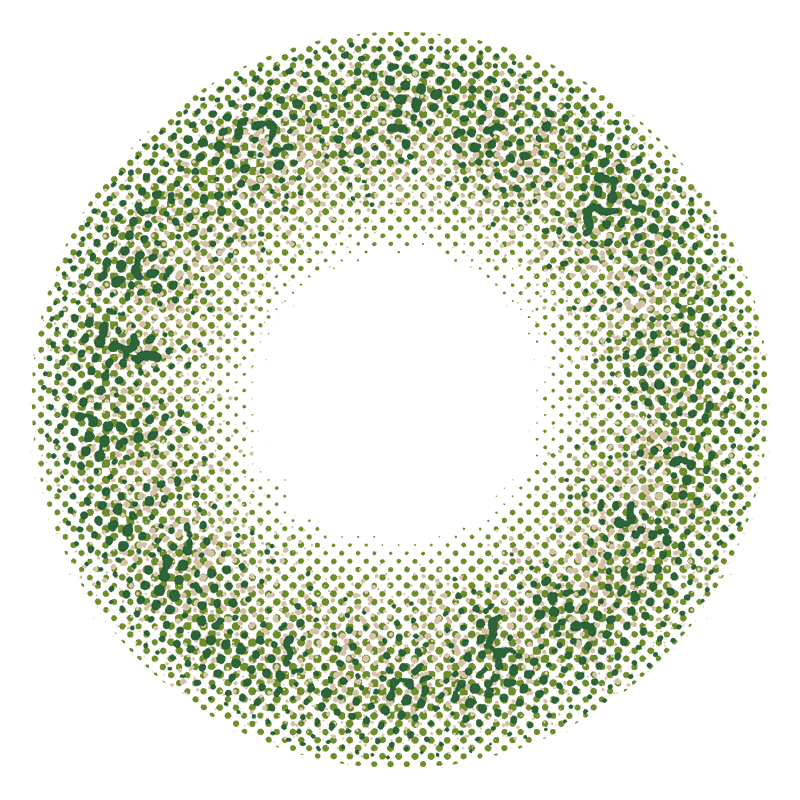 Dormi Green Contact Lenses