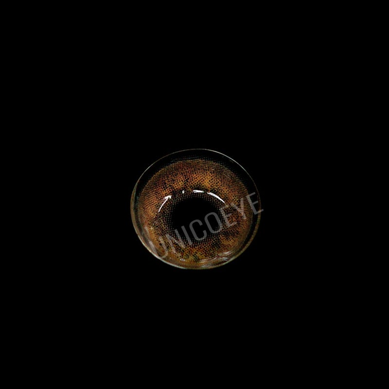 Russian Brown Daily Contact Lenses | 10 Pcs