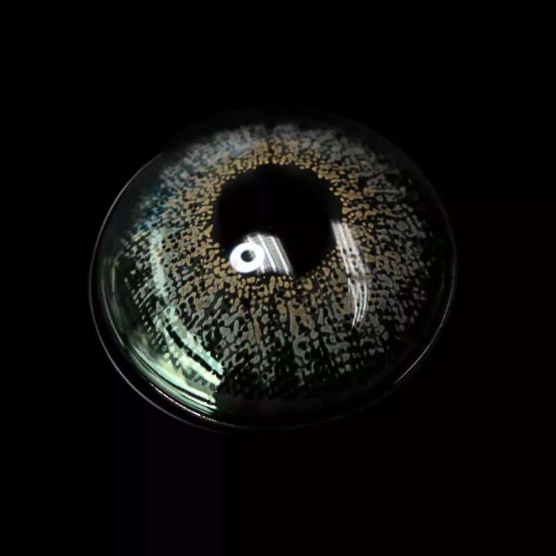 [US Warehouse] Forest Ember Contact Lenses