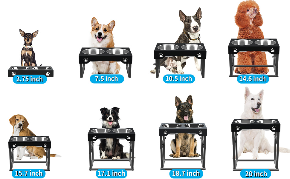 FORDOG Elevated Dog Bowls, Stainless Steel Raised Dog Bowls Adjustable to 8  Heights, 2.75, 7.5, 10.5'', 14''-20'', for Medium & Large Sized Dogs
