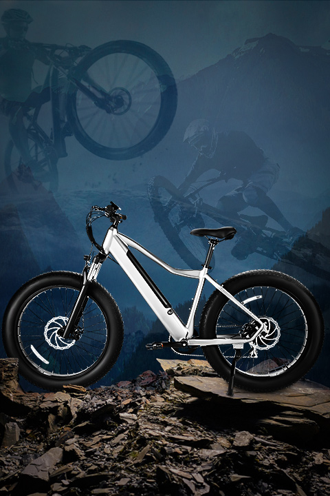 Electric Bikes | Vanpowers Bike