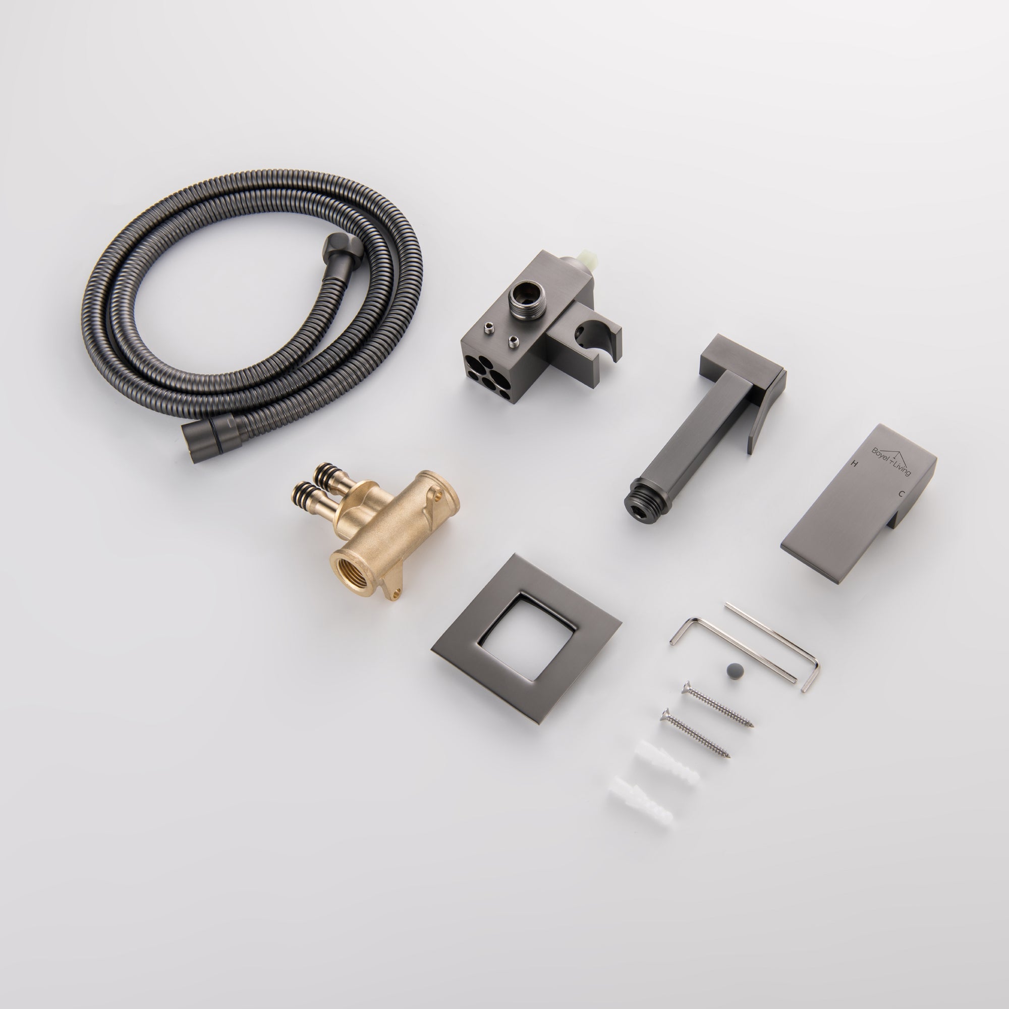 Boyel Living Wall Mount Single-Handle Bidet Faucet with Handle and Mixer Body-Boyel Living