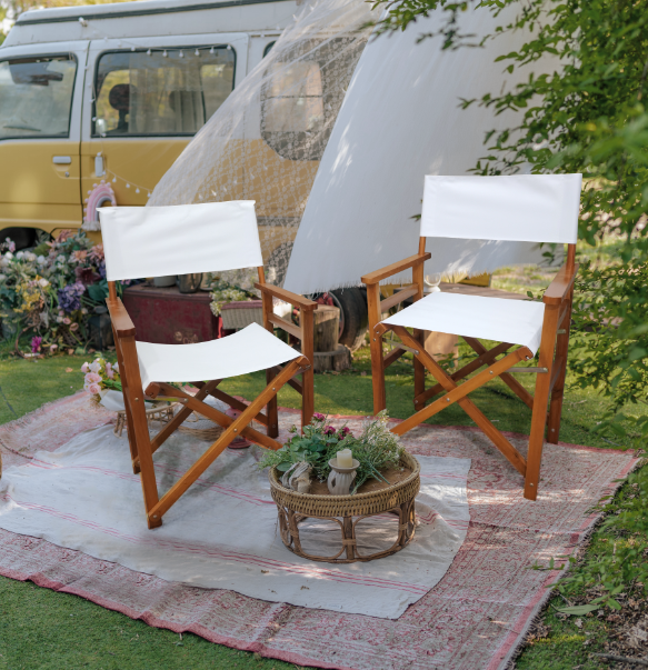Folding Chair Wooden Director Chair Canvas Folding Chair  Folding Chair  2pcs/set   populus + Canvas (Color : White)-Boyel Living