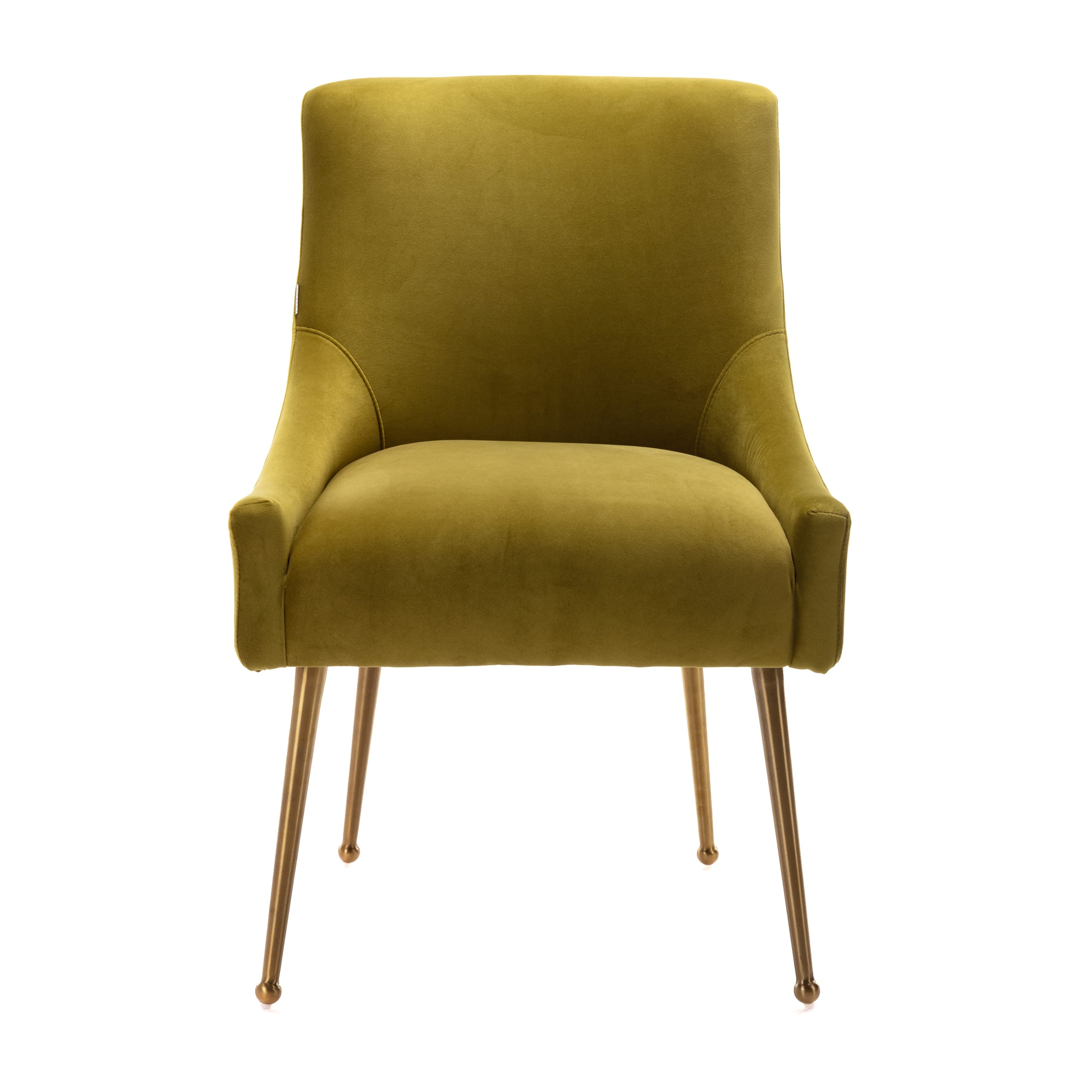 Velvet Dining Chair, Accent Side Chair With Adjustable Foot Nails, Set of 2-Boyel Living