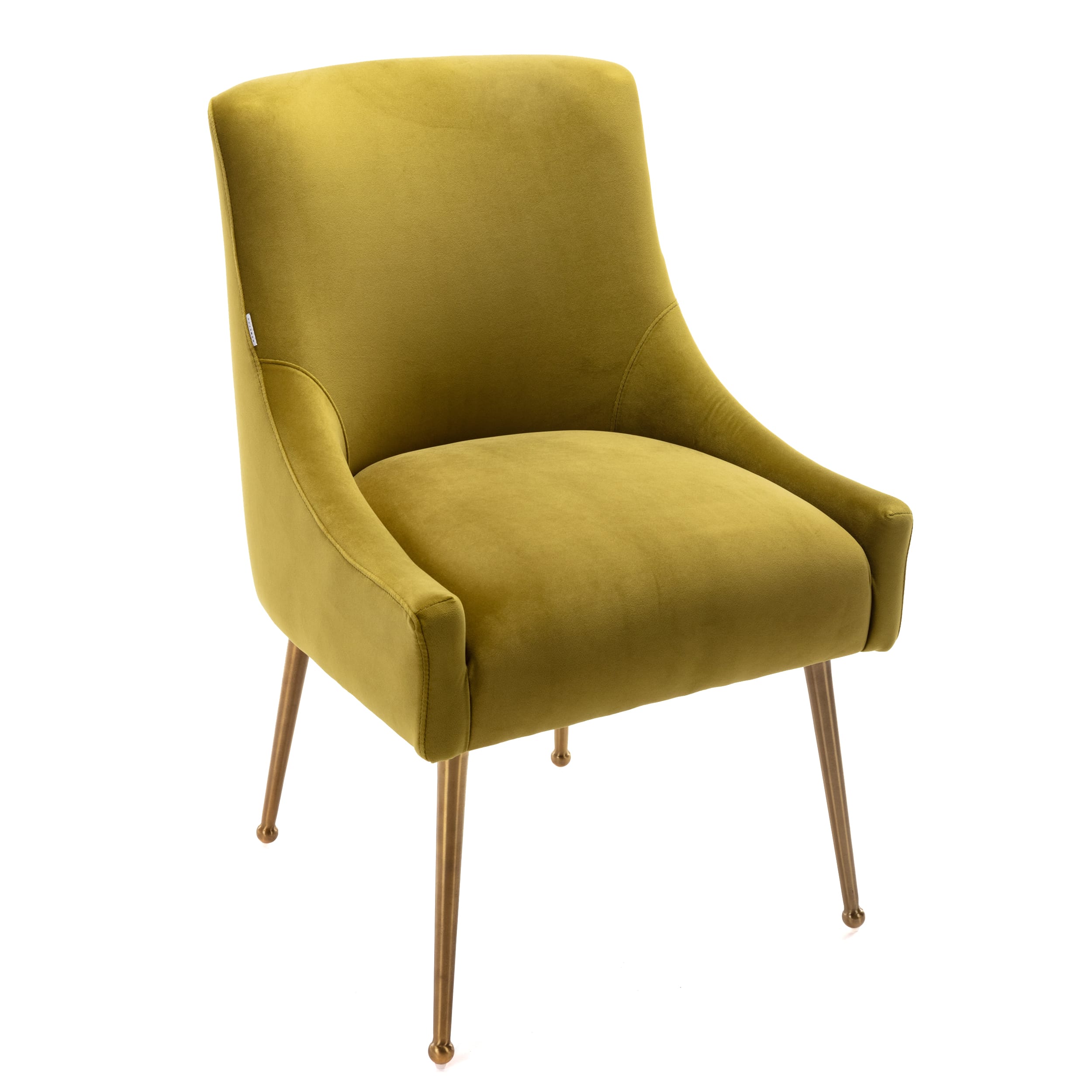 Velvet Dining Chair, Accent Side Chair With Adjustable Foot Nails, Set of 2-Boyel Living