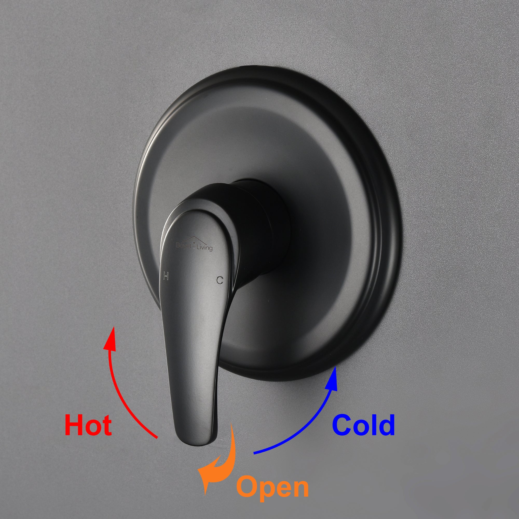 Boyel Living 5-Spray Patterns with 2.5 GPM 4.72 in. Wall Mount Dual Shower Heads in Matte Black (Valve and Handle Trim Included)-Boyel Living