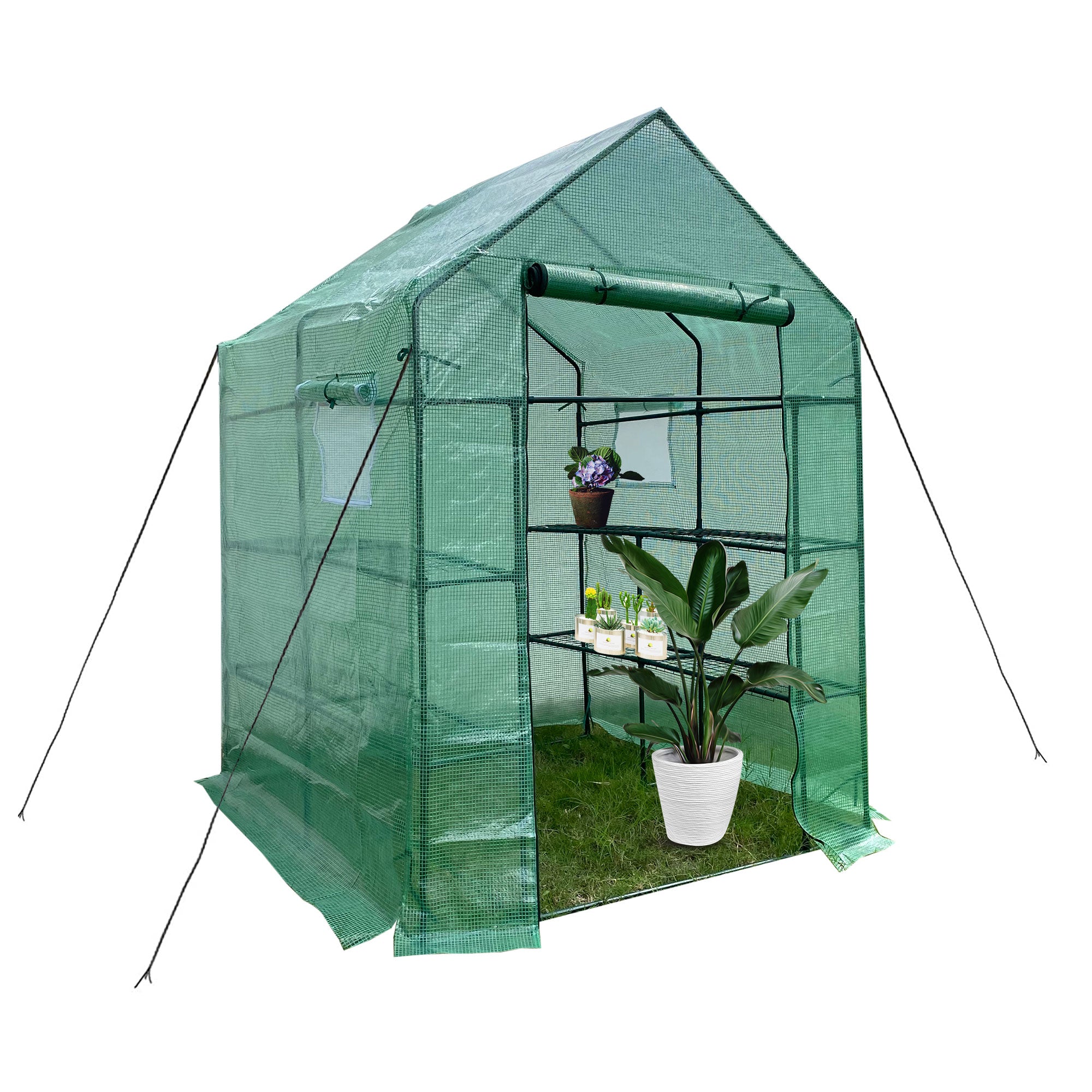 Mini Walk-in Greenhouse Indoor Outdoor -2 Tier 8 Shelves- Portable Plant Gardening Greenhouse, Grow Plant Herbs Flowers Hot House-Boyel Living