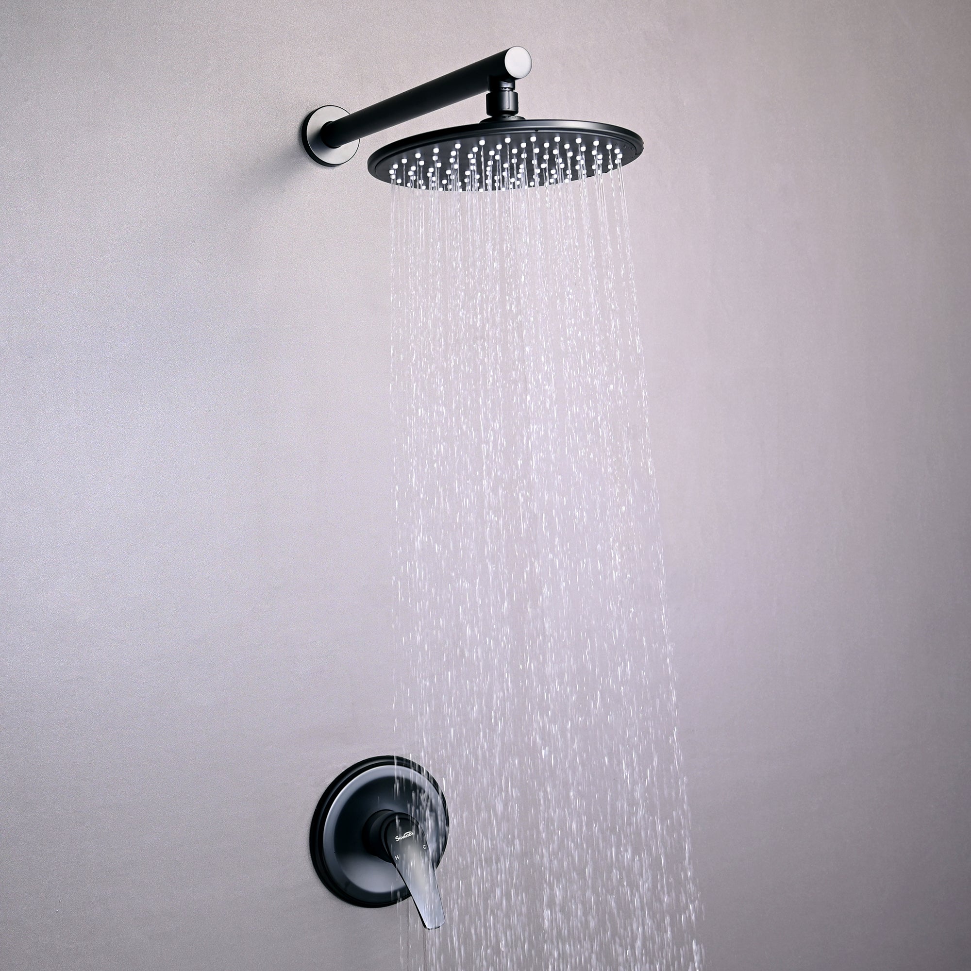 Boyel Living 1-Spray Patterns with 3.4 GPM 9 in. Wall Mount Rain Fixed Shower Head with Single Lever Handle and Valve-Boyel Living