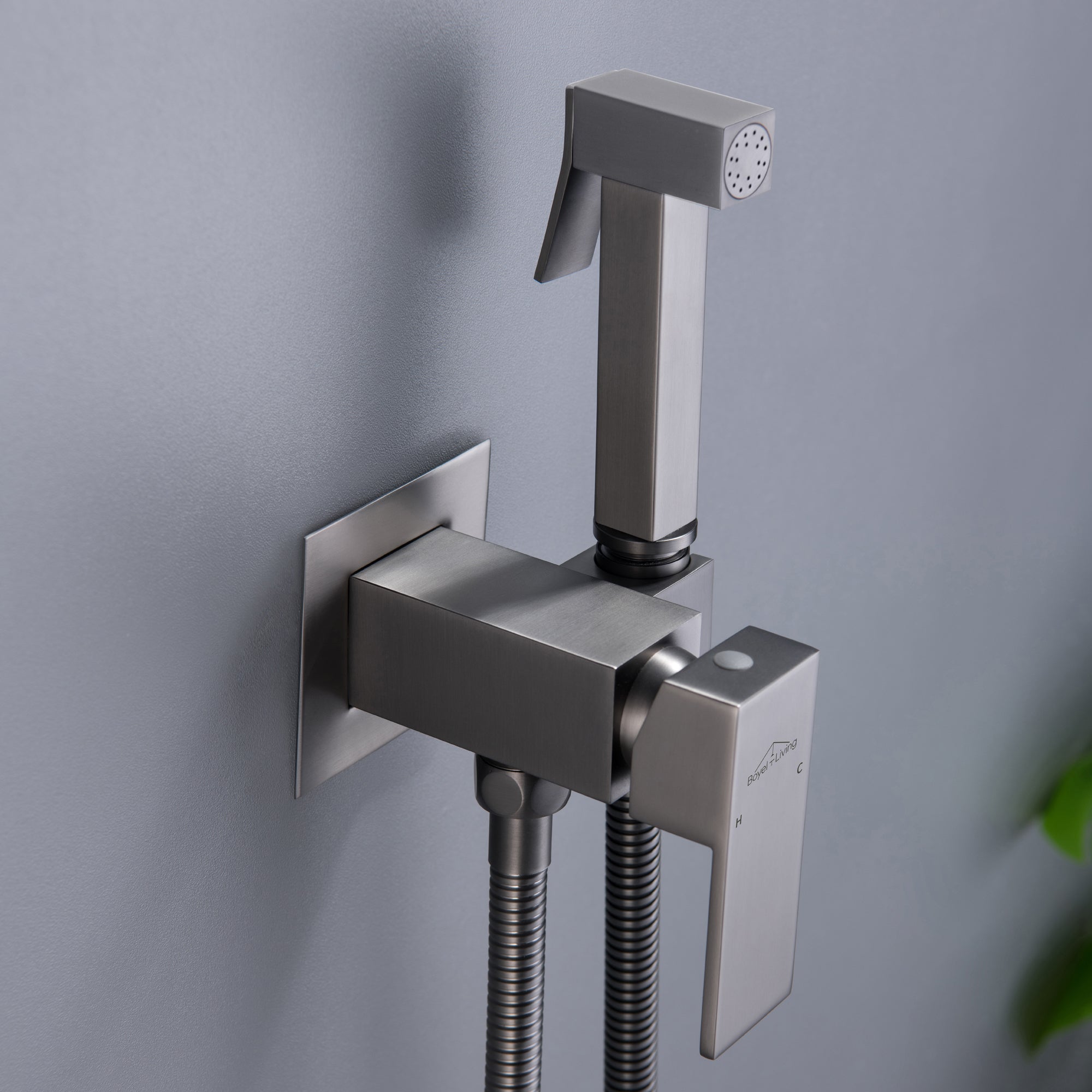 Boyel Living Wall Mount Single-Handle Bidet Faucet with Handle and Mixer Body-Boyel Living