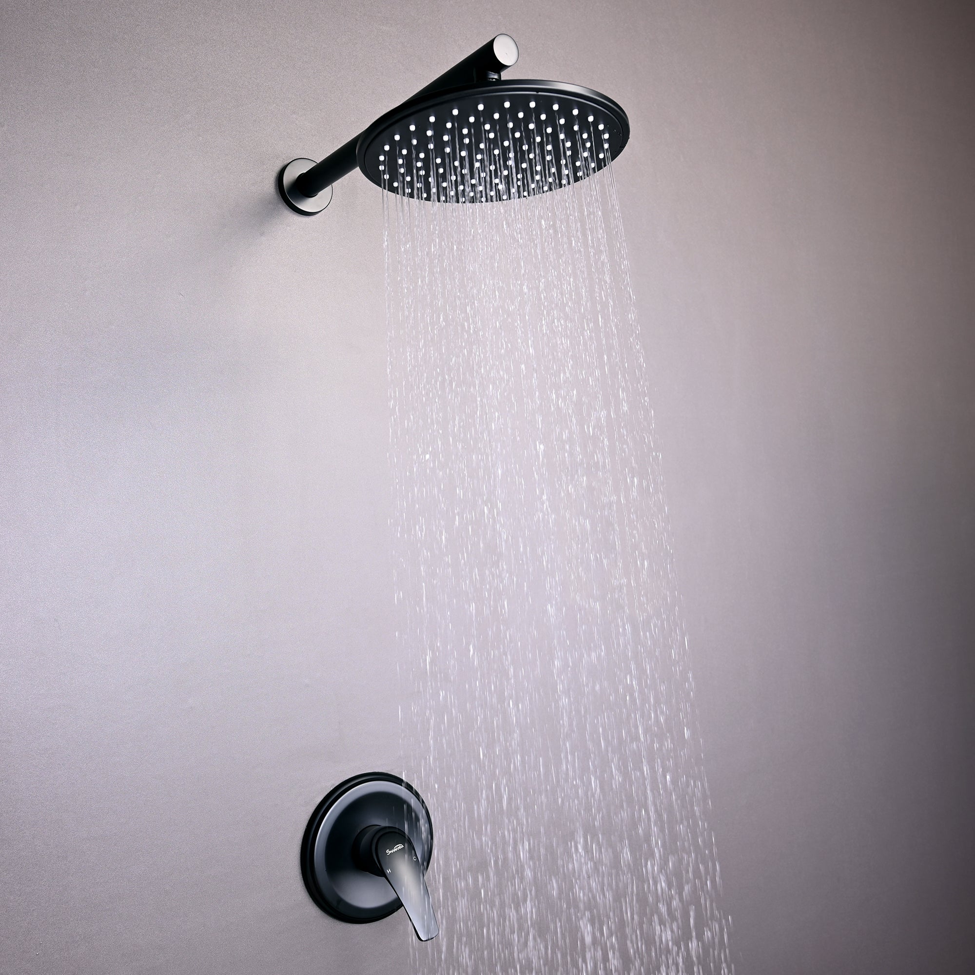 Boyel Living 1-Spray Patterns with 3.4 GPM 9 in. Wall Mount Rain Fixed Shower Head with Single Lever Handle and Valve-Boyel Living
