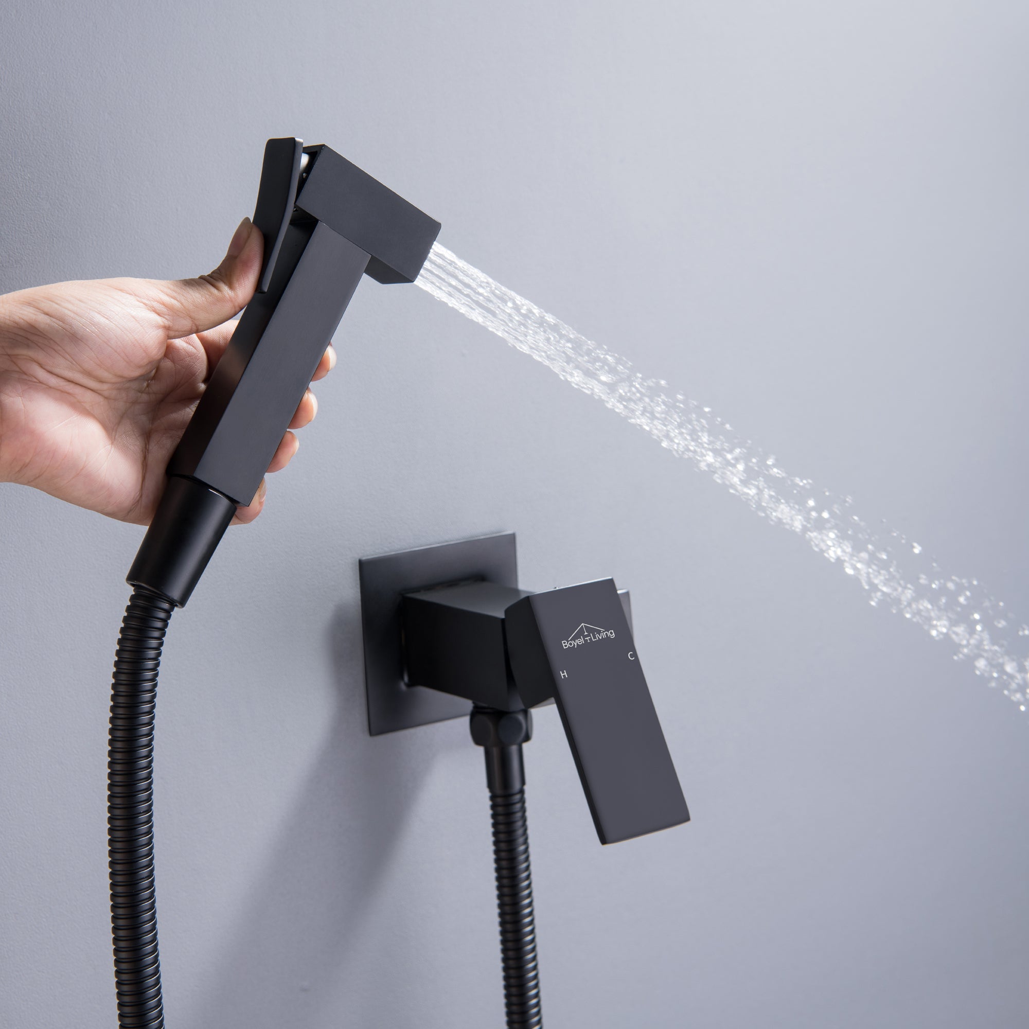 Boyel Living Wall Mount Single-Handle Bidet Faucet with Handle and Mixer Body-Boyel Living