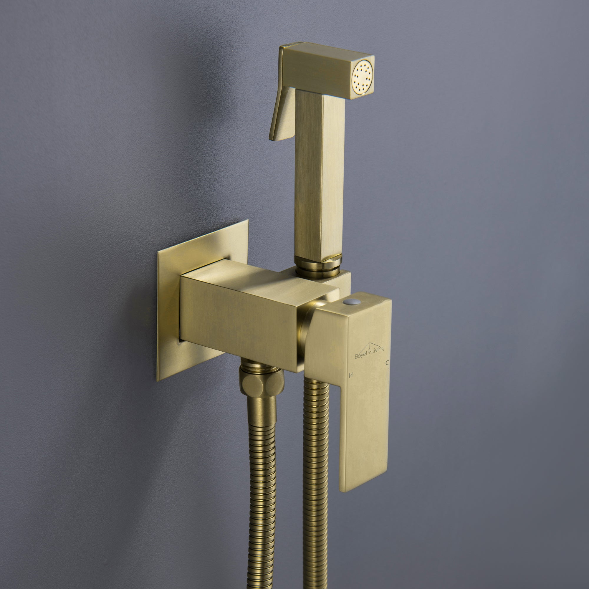 Boyel Living Wall Mount Single-Handle Bidet Faucet with Handle and Mixer Body-Boyel Living