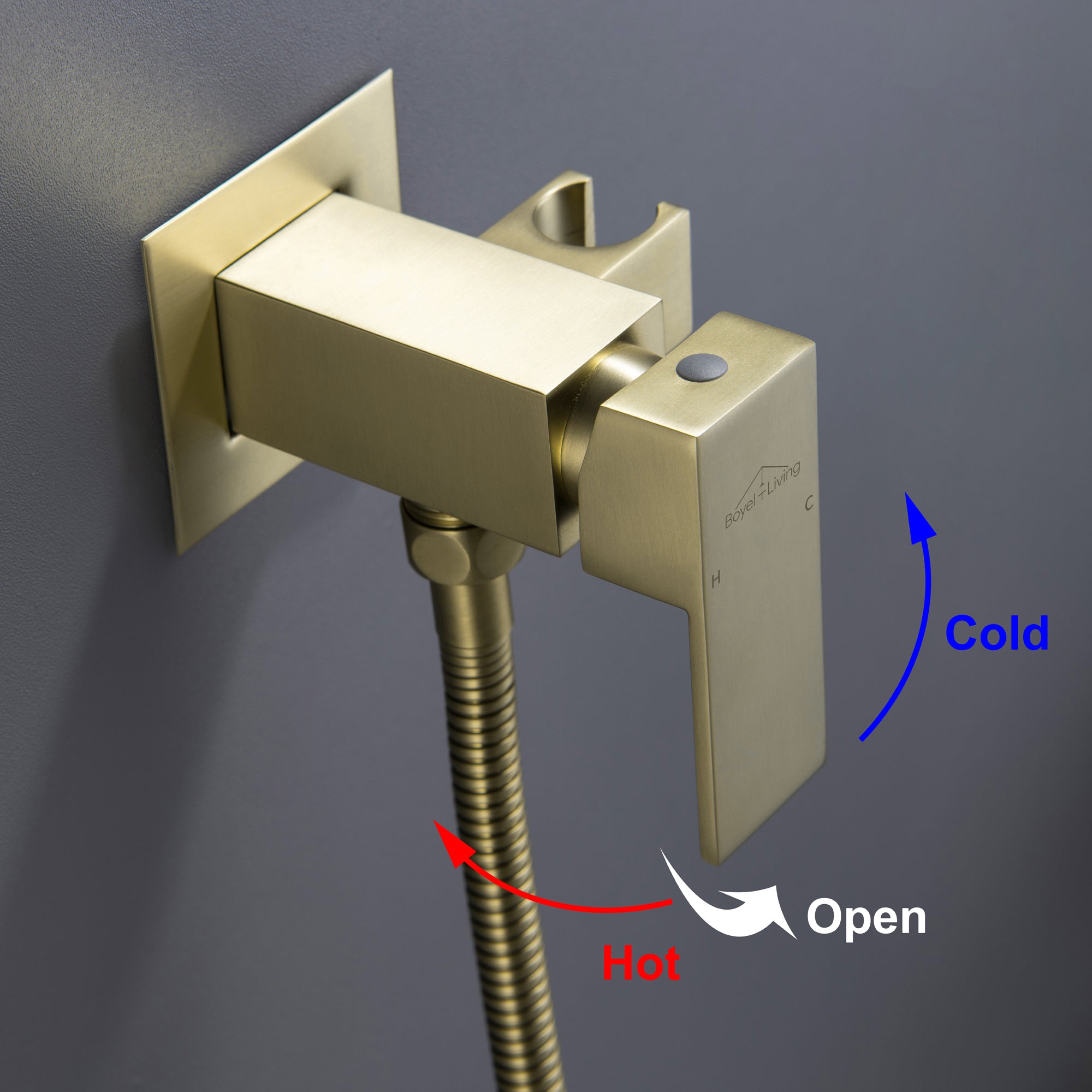 Boyel Living Wall Mount Single-Handle Bidet Faucet with Handle and Mixer Body-Boyel Living