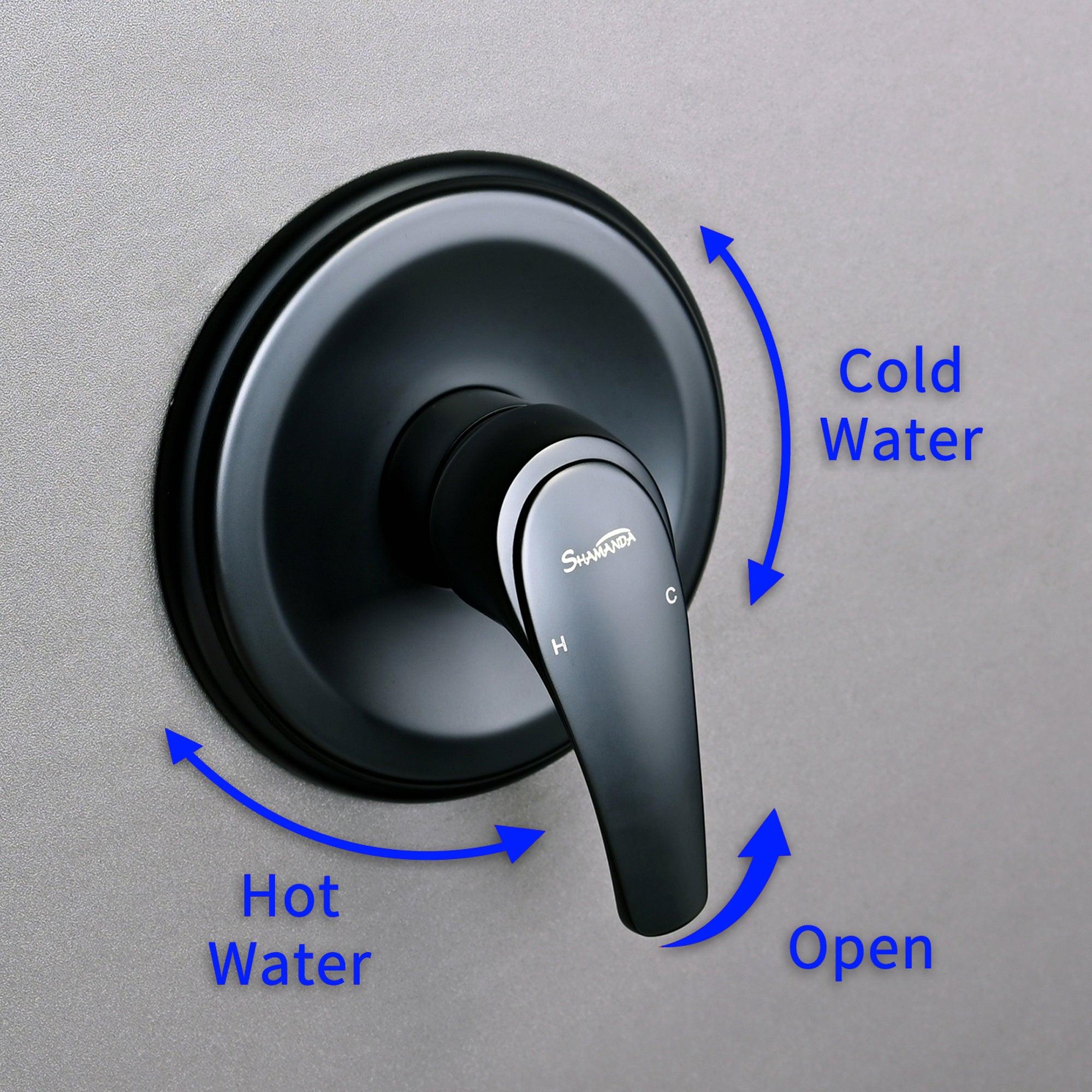 Boyel Living 1-Spray Patterns with 3.4 GPM 9 in. Wall Mount Rain Fixed Shower Head with Single Lever Handle and Valve-Boyel Living