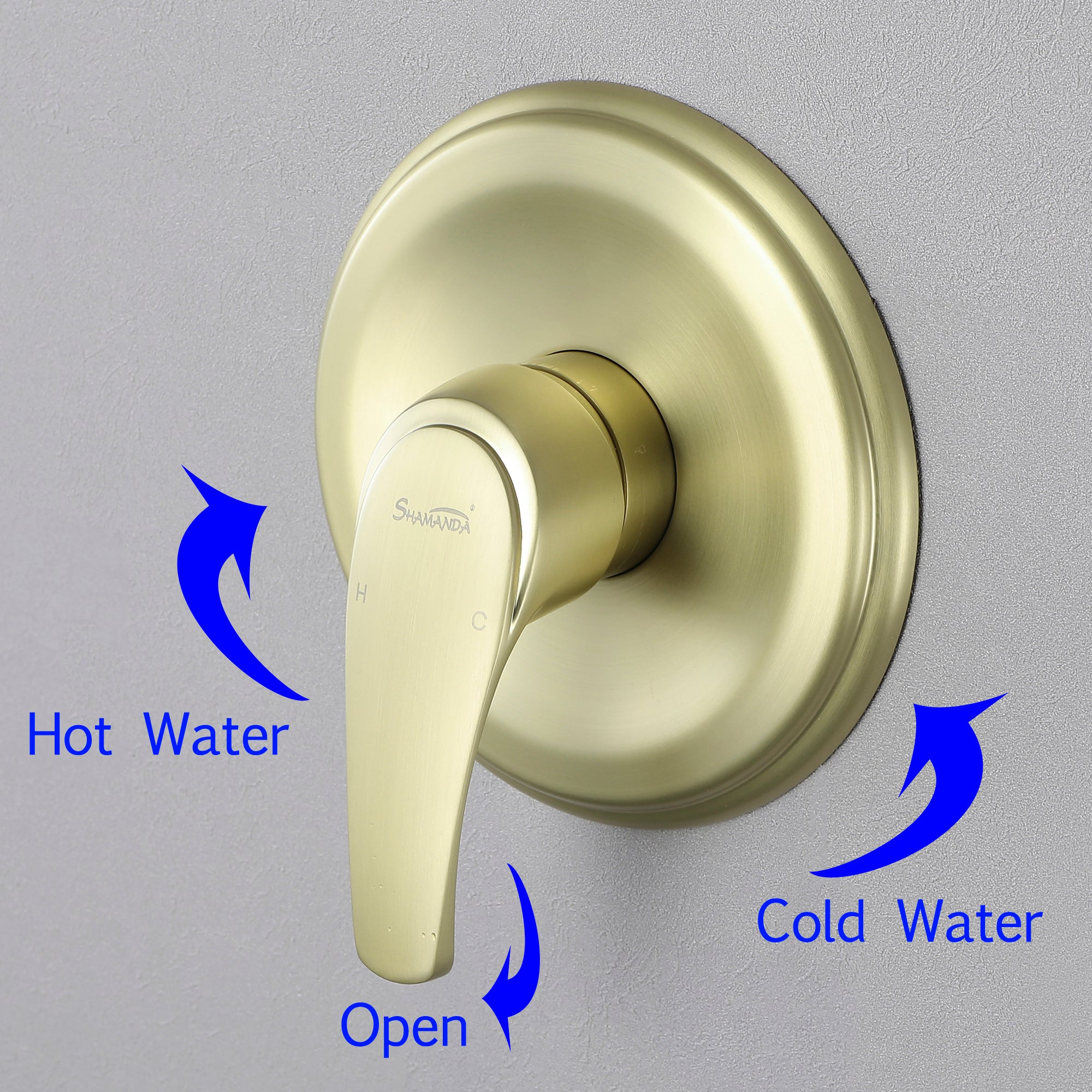 Boyel Living 1-Spray Patterns with 2.5 GPM 8 in. Wall Mount Rain Fixed Shower Head with Single Lever Handle and Valve in Brushed Gold-Boyel Living