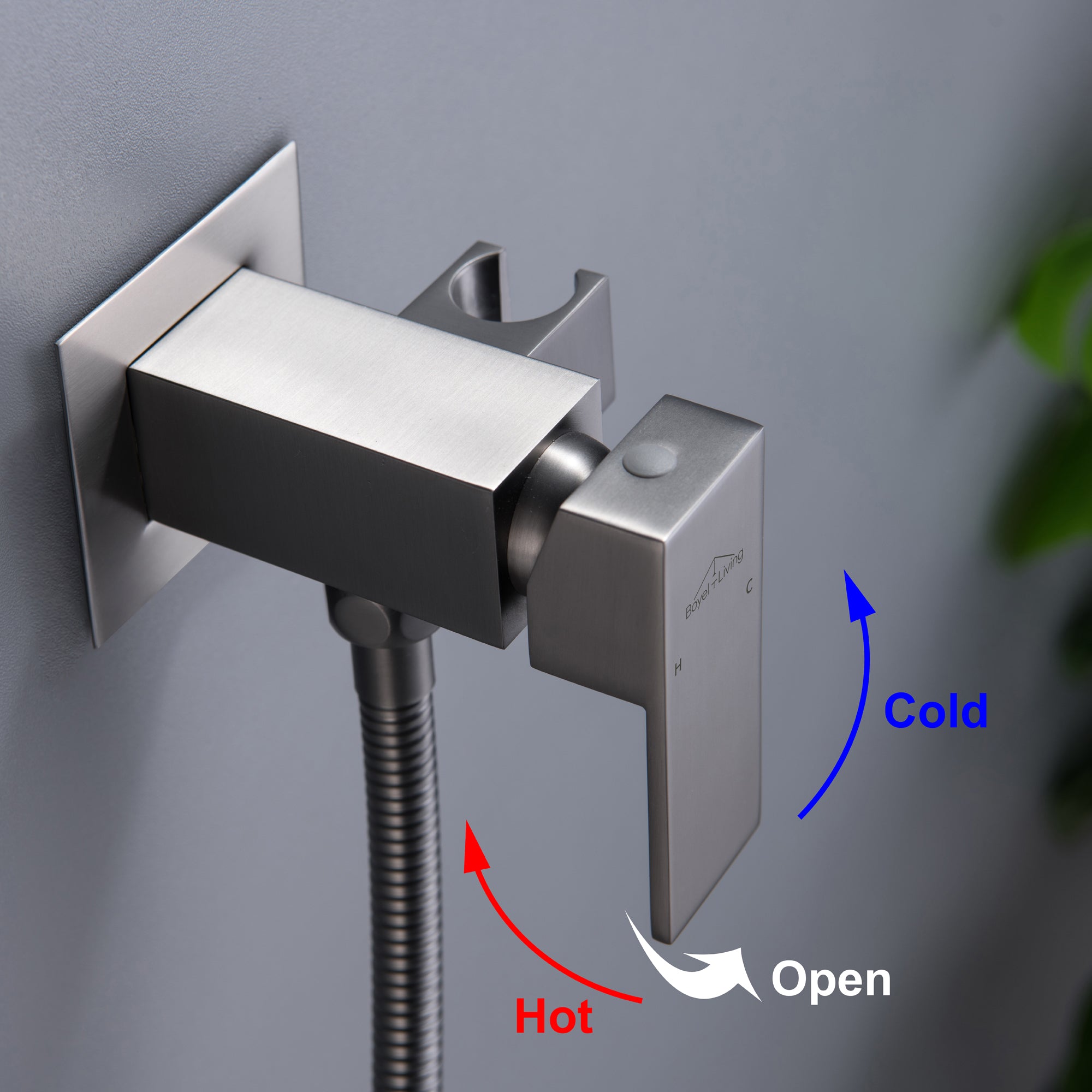 Boyel Living Wall Mount Single-Handle Bidet Faucet with Handle and Mixer Body-Boyel Living