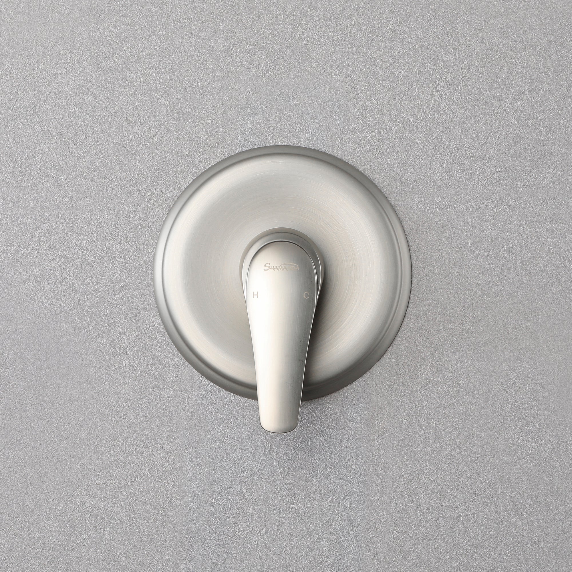 Boyel Living 1-Spray Patterns with 3.4 GPM 9 in. Wall Mount Rain Fixed Shower Head with Single Lever Handle and Valve-Boyel Living