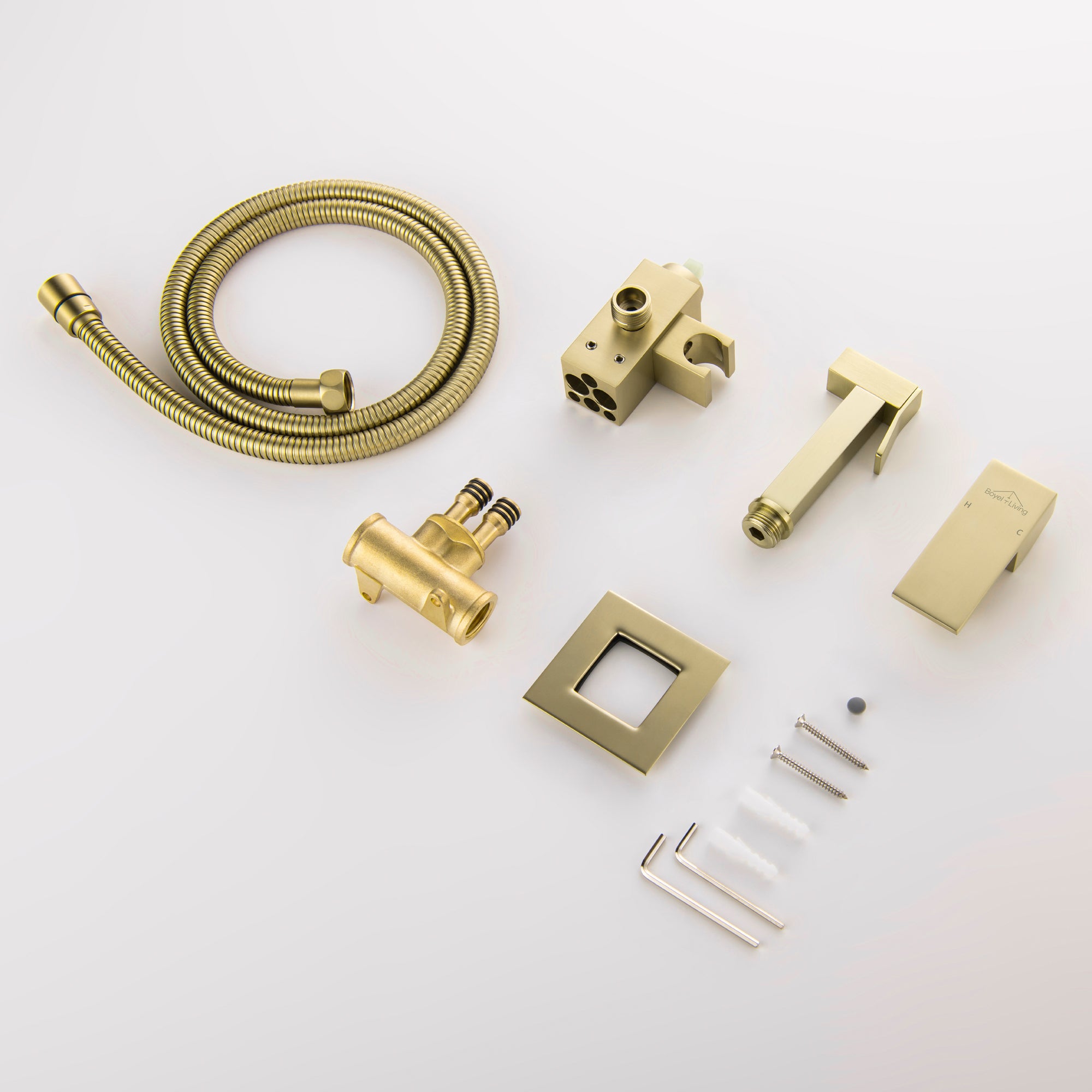 Boyel Living Wall Mount Single-Handle Bidet Faucet with Handle and Mixer Body-Boyel Living